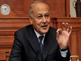 أحمد ابو الغيظ
