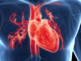 دراسة: رفع الأثقال مفيد لحرق دهون القلب