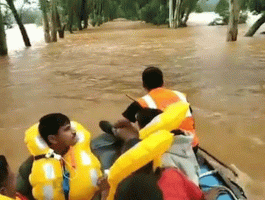 image.gif