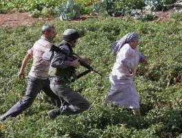 فلسطين: ممارسات 