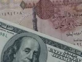 الحكومة المصرية 