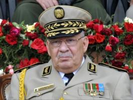 قايد صالح