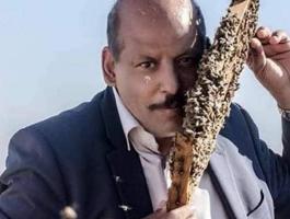 أبو ظبي: الجمعية العربية لتربية النحل تُنظم معرضًا ومسابقة في مارس المقبل