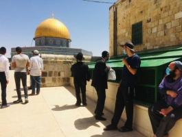 عشرات المستوطنين يقتحمون المسجد الأقصى خلال الأسبوع الماضي