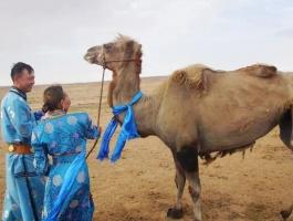 بالفيديو: رصد 