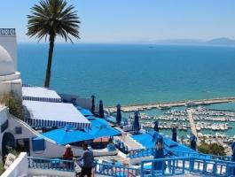 بالصور: القبض على شخص يخفي أسلحة عثمانية في تونس