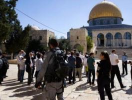 الخارجية الأردنية تدين استمرار الانتهاكات الإسرائيلية في المسجد الأقصى