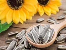 فوائد بذور دوار الشمس للحامل