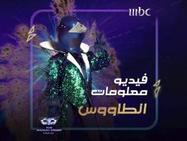 من هو شخصية الطاووس في برنامج انت مين the masked singer ؟