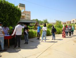مصر: نتائج امتحانات طلبة جامعة جنوب الوادى 2021