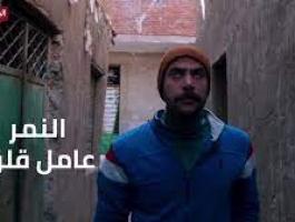 فيديو: الهروب إلى أعلى... 