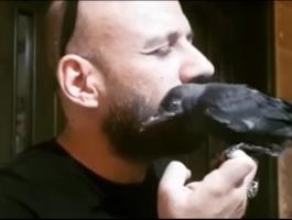 احمد مكي