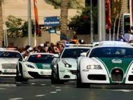 شاهد: زعيم عصابة 