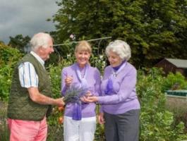 طبيب بريطاني يعالج الوحدة بزراعة زهور الخزامى واهدائها لجيرانه