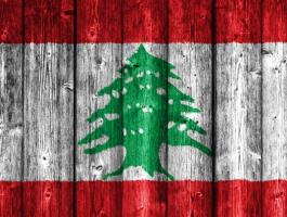 شاهدوا | لبناني يدخل موسوعة 
