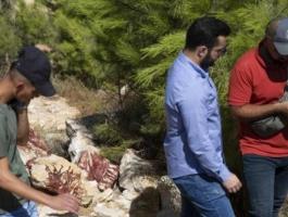 الإعلام العبري: فلسطينيون يعثرون على سجل لعمليات الجيش بالقدس