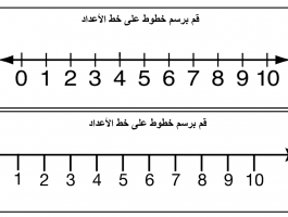 العدد الصحيح الموجب يكون اكبر من العدد الصحيح السالب دائما