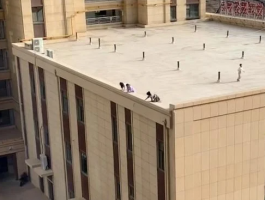 تزلج على السطح