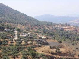 الجليل.