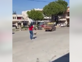 فيديو لامرآة لبنانية تقتل كلبا يثير مواقع التواصل الاجتماعي