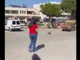 بعد تصدرها التريند.. ما قصة الأم التي قتلت كلبا في لبنان؟
