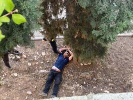 الاحتلال يطلق النار على شاب بزعم تنفيذه عملية طعن شرق القدس