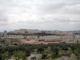 مستوطنة