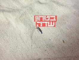 أعيرة نارية.