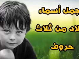 أسماء أولاد ثلاث حروف من القران الكريم