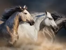 رؤيا الخيل