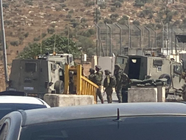 الاحتلال يزعم محاولة مركبة فلسطنية تنفيذ عملية دهس في نابلس