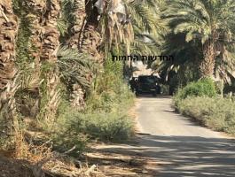 عملية