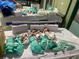 babies-in-hospital148-1709231609.jpg