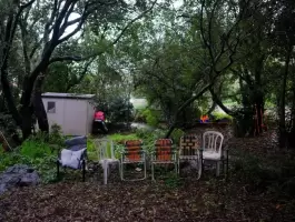 north-israel-1709780492.webp