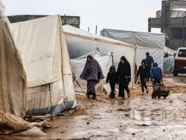 منخفض قطبي غزة