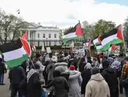 تأييد فلسطين في أمريكا
