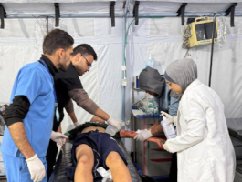 لقطة الشاشة 2025-04-28 102445.png