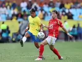 تنزيل (3).webp