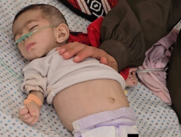 لقطة الشاشة 2025-05-03 101500.png