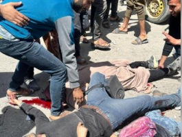 لقطة الشاشة 2025-05-07 153734.png