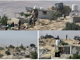لقطة الشاشة 2025-06-11 112735.png