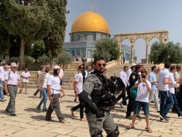 مستوطنون يقتحمون الأقصى وفا.jpg-f9ca456a-b02f-462b-a666-dd71447254ee.jpg