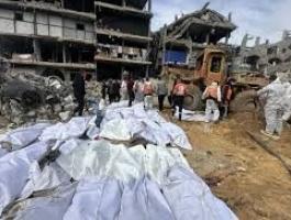 تنزيل (24).jpeg