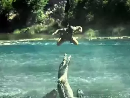 تماسيح