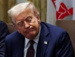 تنزيل (20).jpeg