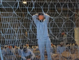 لقطة الشاشة 2025-08-05 110843.png