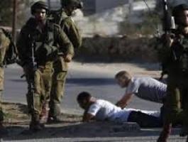 تنزيل (25).jpeg