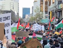 نيوزلاندا.jpg-b3310114-5b39-4216-b158-6711b9caf75a.jpg