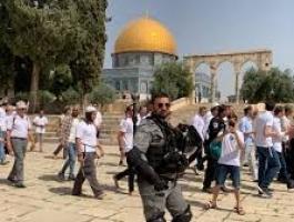 تنزيل (23).jpeg