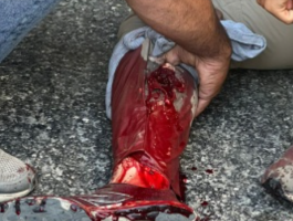 لقطة الشاشة 2025-10-21 205414.png